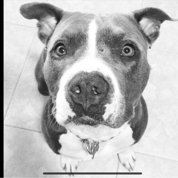 SALE - RAISING MONEY FOR CANCER TREATMENT! - Picture 1 of 12